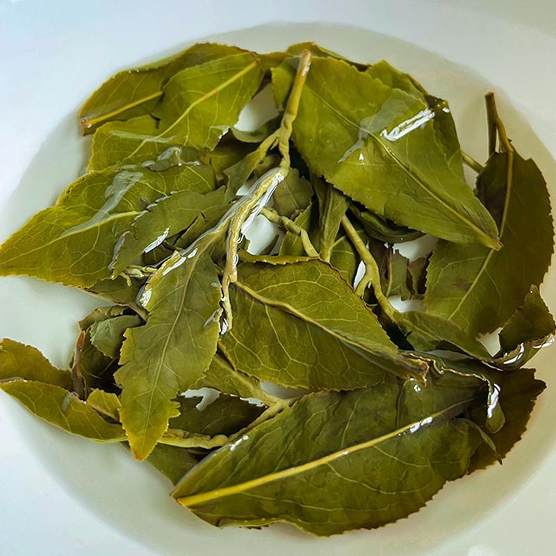 Milk flavored Alishan Jinxuan High Mountain Oolong Tea: 50g-500g packaging
