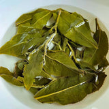 Milk flavored Alishan Jinxuan High Mountain Oolong Tea: 50g-500g packaging