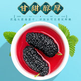 Selected Dried Mulberry Large Fruit Sand-free No-wash Mulberry Health Tea 500g