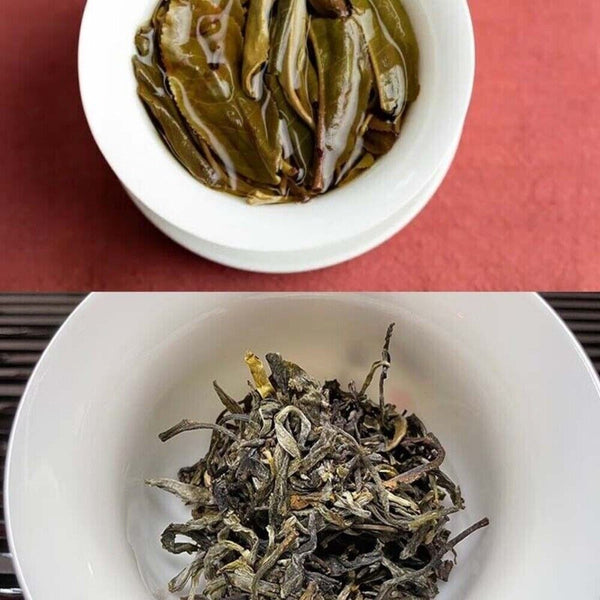 2023 Haiwan 7548 Sheng Puerh Raw Tea Cake 357g Premium Aged Pu Erh