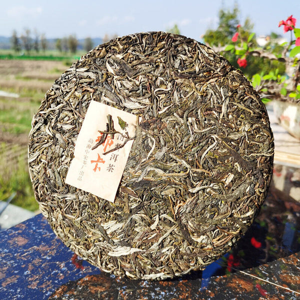 Zhonghongyin Naka Ancient  Tea 357g/12.59oz Pu'er Spring Tea  Slimming Green Tea