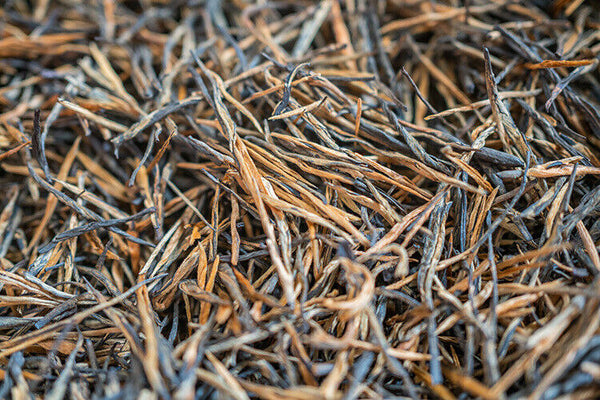 Yunnan Fengqing DianHong tea Pine Needle Un bourgeon une feuille Golden Needle
