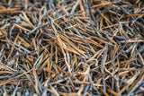Yunnan Fengqing DianHong tea Pine Needle Un bourgeon une feuille Golden Needle