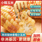 Xishuangbanna Sweet Sticky Corn – Wholesale Vacuum Pack