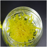 Yellow Chrysanthemum Tea Box of 30 Individual Sachets One cup one flowe