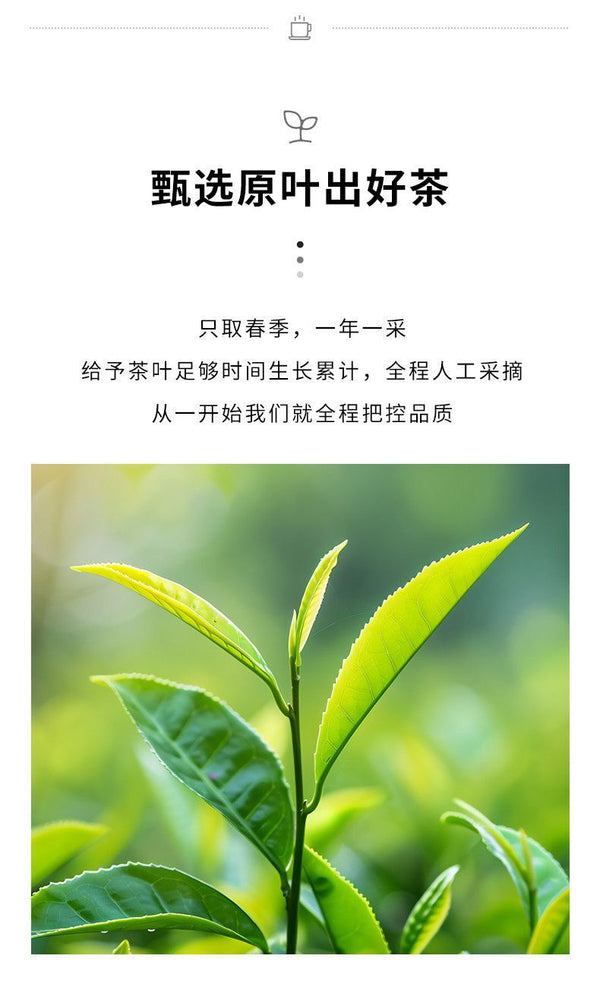 Authentic Wuyi Yancha Oolong Tea Loose Leaf 50g for Daily Use