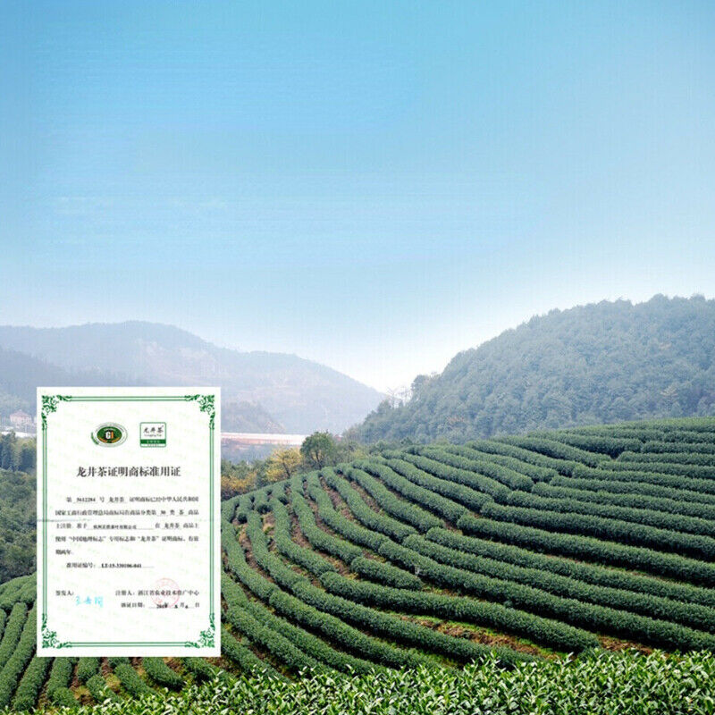 China Top Longjing Tea Fragrant Green Tea 200g New Gift Package Loose Leaf Tea