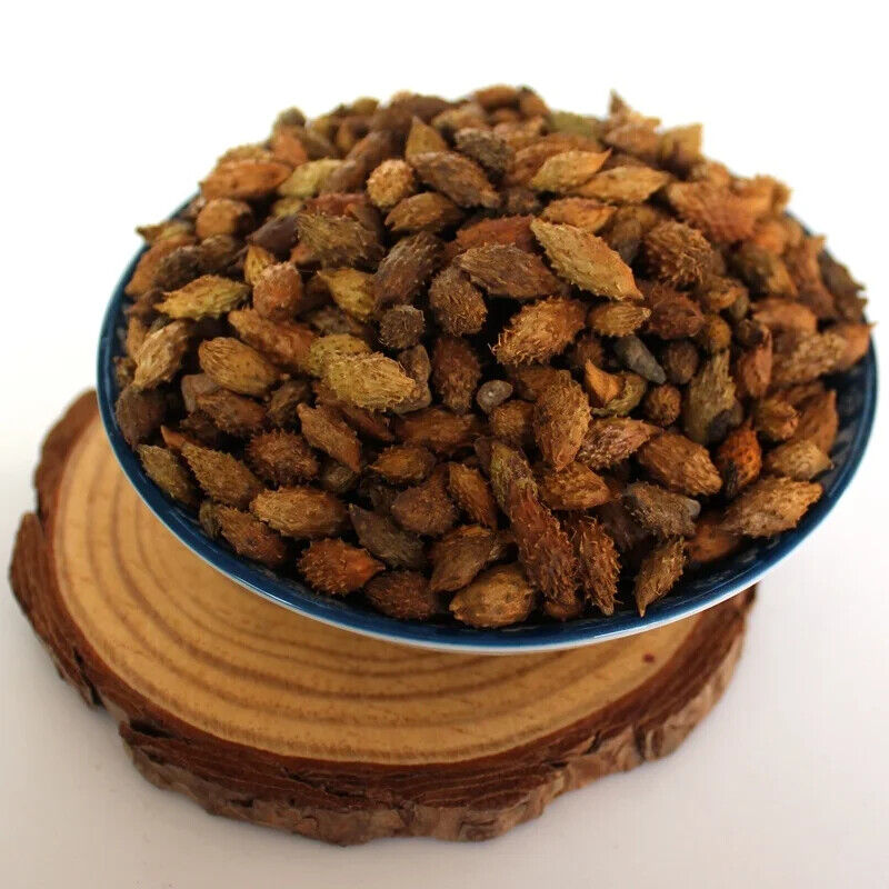 100% Pure Siberian Cocklebur Fruit  / Xanthium Sibiricum Herbs 250g