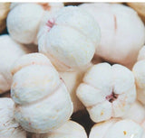 Chemical Free Pure Natural Freeze Dried Mangosteen Meat for Sanck 100g