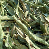 Natural high-quality ORGANIC Dried Mango leaves Quality Pure Leaf For Tea 500g