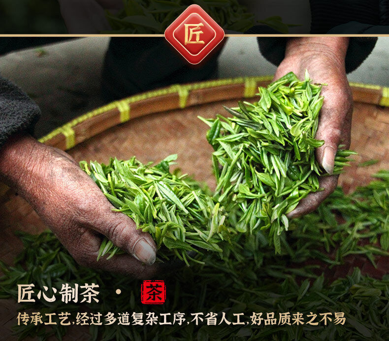 Minggulan Yunwu Maojian Tea Green Tea Spring Good Tea Stir-fried Young Buds 76g
