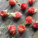 Organic Dried Red Artful Plum Tea, Redartfulplumtea, Hong Qiao Mei Flower Tea