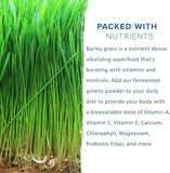 250g Gerstengraspulver 100% rein & biologisch natürliches Gras Gewichtsverlust