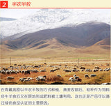 600g Qinghai Oat Flakes High Altitude Hulled Oats Nutritious Breakfast Cereal