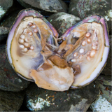 500g Face mask powder, 100% Pure natural Freshwater super fine Pearl Powder