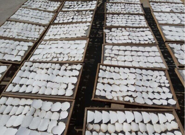 Poria Cocos Slice, Fu Ling Slice Tuckahoe Slice, Hoelen, China Poria Root