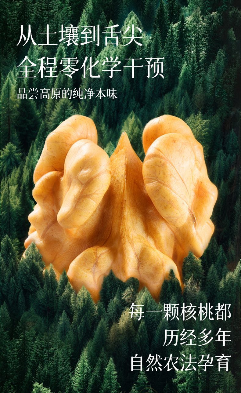 Raw Organic Yunnan Walnuts – Shelled Nuts for Baking, Snacking & Moms