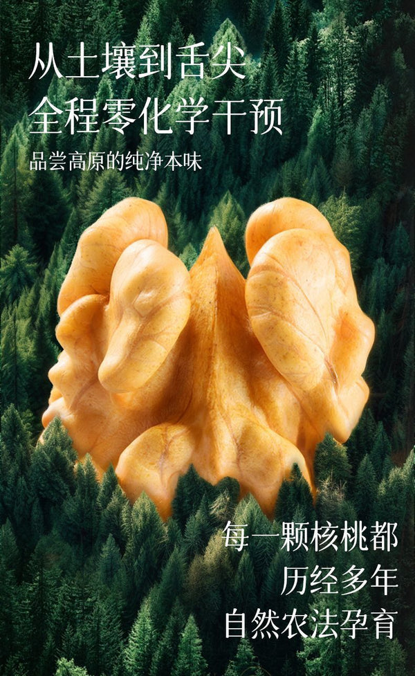 Raw Organic Yunnan Walnuts – Shelled Nuts for Baking, Snacking & Moms