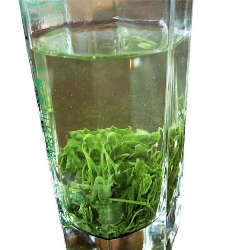 Fragrant Tea Alpine Yunwu Green Tea Wholesale Rizhao Fried Green Strong Tea