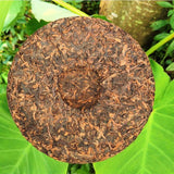 2020 Golden Buds Menghai Ancient Tree Qizi Shu Puerh Tea Cake,Ripe Puer Tea 357g