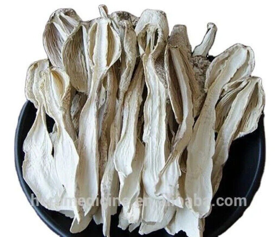 500g Organic Shaggy Mane Coprinus Comatus Mull Fr Gray Dried Mushroom Main image