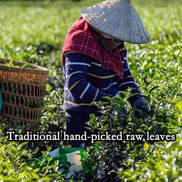 Milk Oolong Tea Super High Mountain Fragrant Green Tea Diet Tea CN Health Care