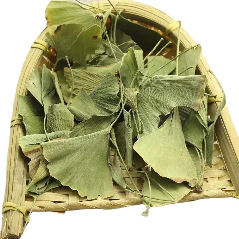 Natural Dried Gingko Biloba Tea Dry Green Gingko Healthy Herbal Gingko Tea 500g Main image