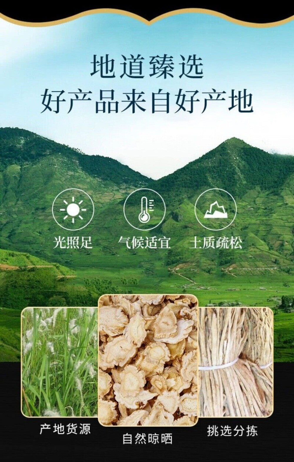 White Cogongrass Root Sweet Grass Bulk Chinese Medicinal Herb Natural