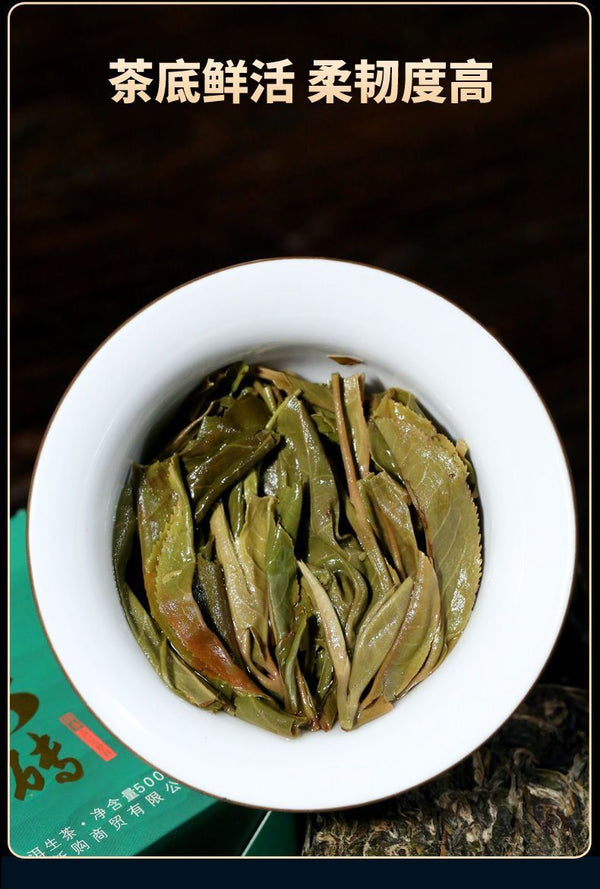Pu'er Tea Raw Tea 88 Green Brick Spring Tea Yunnan Ancient Tree Tea 500g