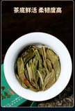Pu'er Tea Raw Tea 88 Green Brick Spring Tea Yunnan Ancient Tree Tea 500g