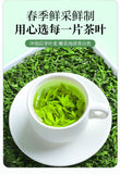 100g Buds Leaf of Chinese Holly New Kuding Tea  Fresh Bitter Tea Leaves Young