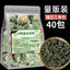 Premium Gynostemma and Plantain Tea Triangle Bags 3g Herbal Drink