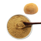 100% Biologische natürliche Löwen Mähne Pilz Hericium Erinaceus Hou Tou Gu 250G
