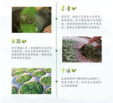 Premium Bi Luo Chun 2025 New Spring Tea Yunnan Dian Green 200g Natural