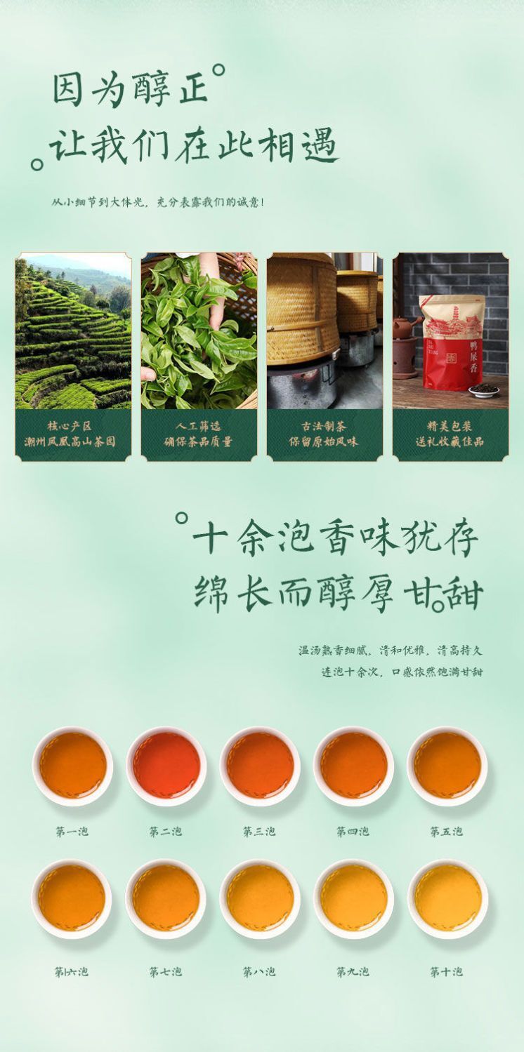 Ya Shi Xiang Honey Orchid High Mountain Tea Authentic Phoenix Dancong Oolong Tea