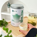 Premium High Mountain Cloud Mist Green Tea 2025 Spring Loose Leaf