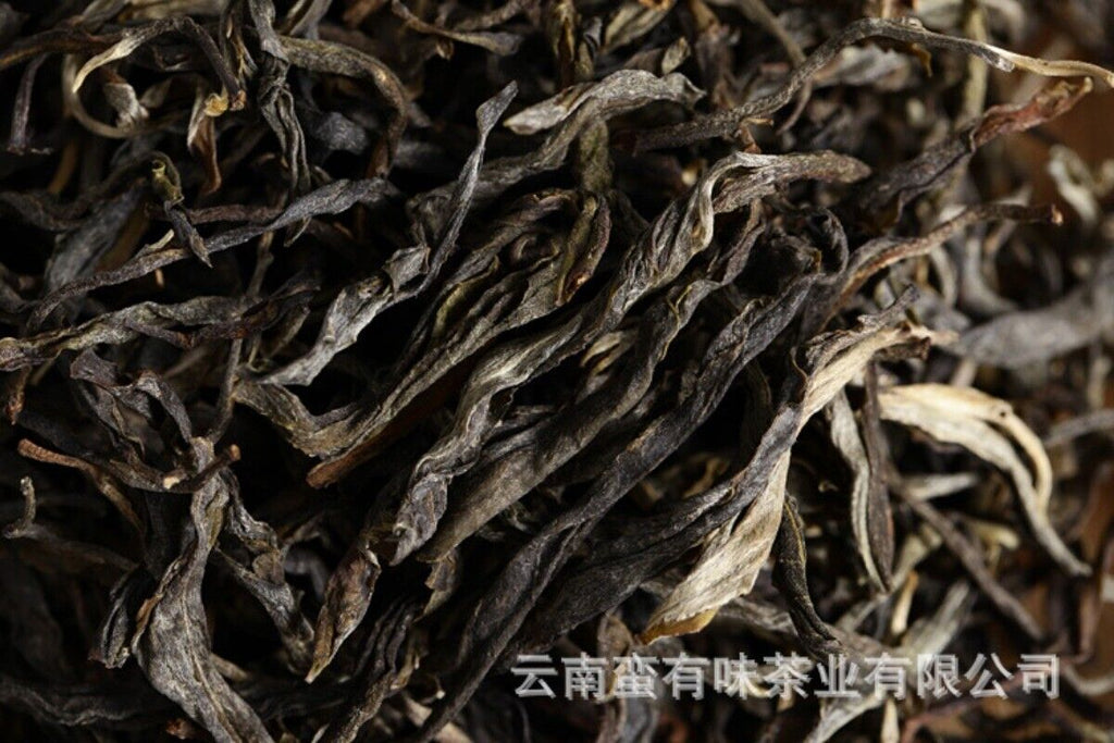 Yunnan Puerh Tea, Qiaomu Tea Spring Tea 500g
