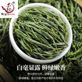 MaoFeng Tea Green High Quality Early Spring Fresh Maofeng Chinese Tea Green 100g