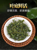 New pring Tea High Mountain Cloud Green Tea Strong Fragrance Ration Tea 250g