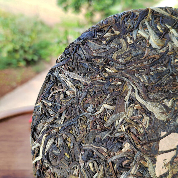 Scraping Walled Pu'er Tea Cake Yiwu Ancient Tree Raw Tea First Spring Yunnan Tea