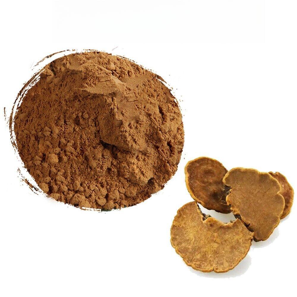 200g Organic Phellinus Linteus Extract 20:1 Meshimakobu Mushroom Powder Main image