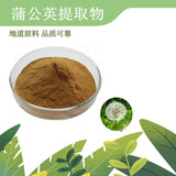 Dandelion Extract 10 1 Flavonoids Water Soluble Powder Premium Pure
