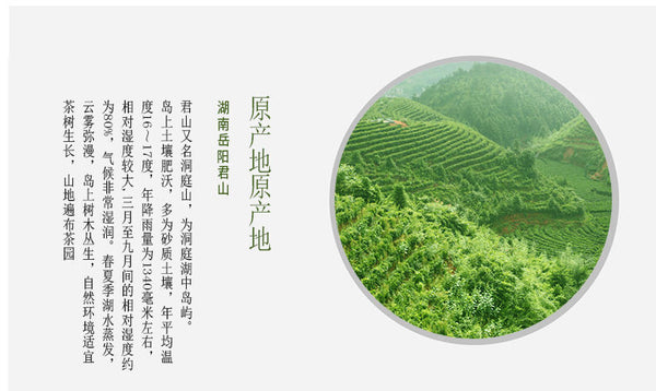 Yellow Tea Junshan Tea Xiangdao Brand Junshan Silver Needle Tea 50g - 100g Tin
