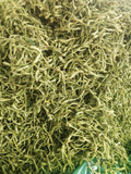 Chinese Natural Lonicera Japonica Dried Honeysuckle Flower Tea Dried Blossom