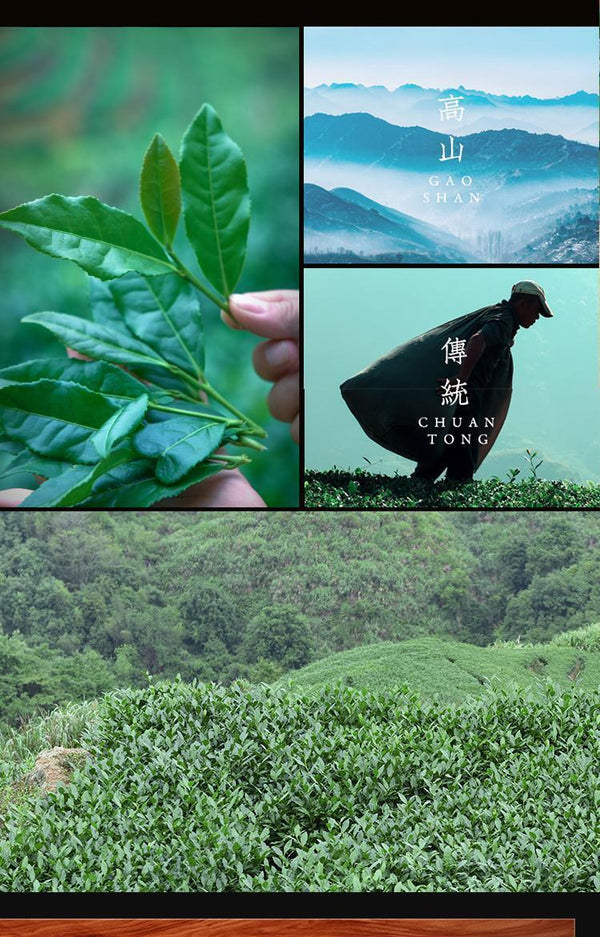 Tieguanyin Oolong Tea Boxed Strong Aroma Independent Small Bubble Tea 250g