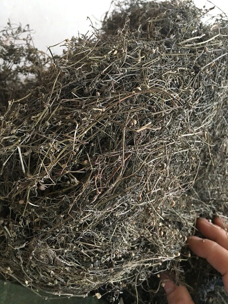 250g Dried Herba Hedyotis Diffusae, Bai Hua She She Cao Main image