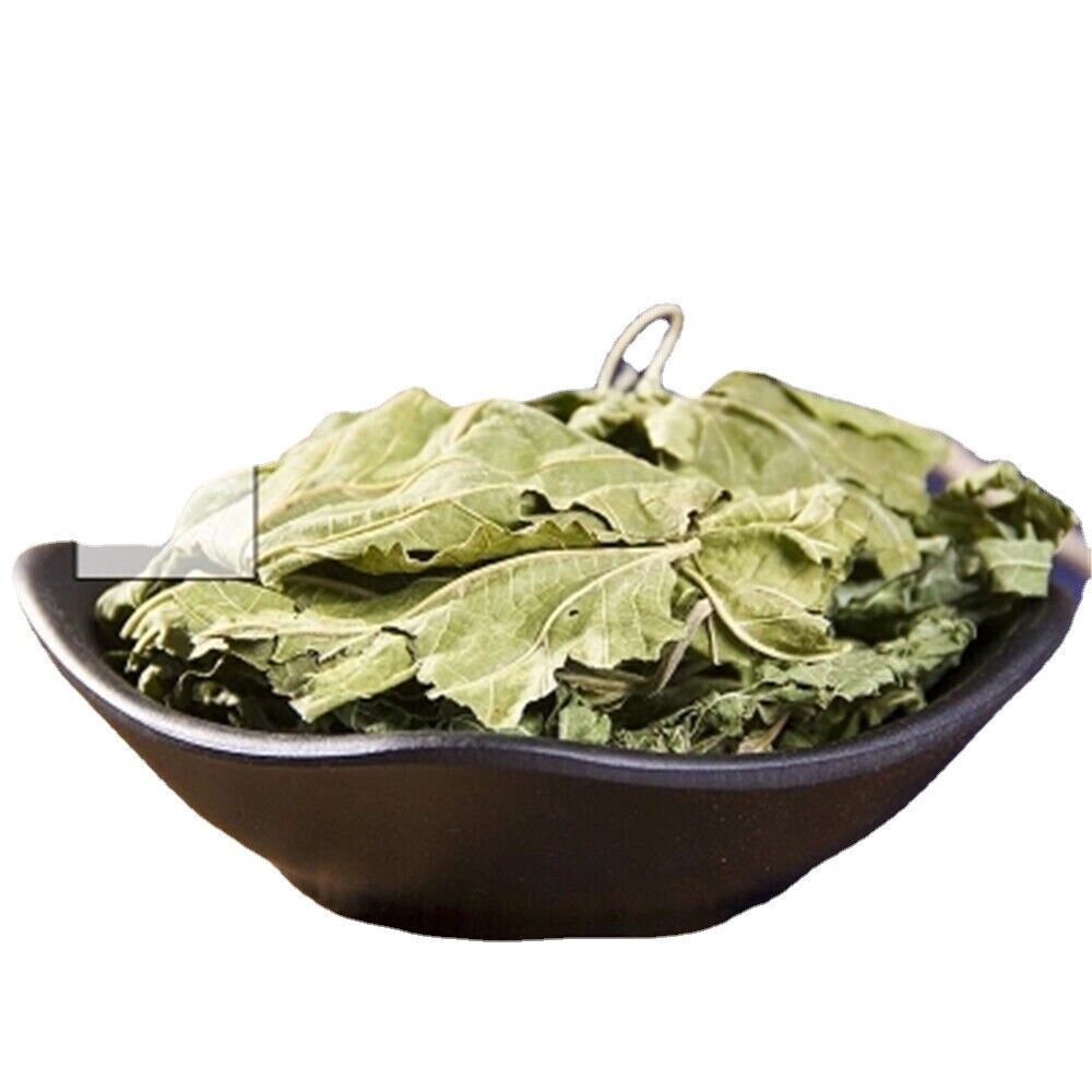 100% Natural Medicinal Chinese Herbs, Mulberry Loose Leaf, Dried Loose Leaf Main image