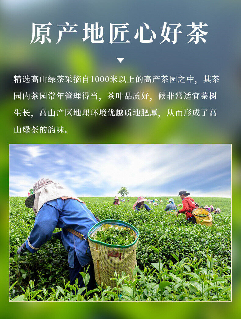 250g New Tea Green Tea Canned Bulk Alpine Cloud Green Tea Fragrant Tea