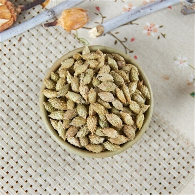 500g 100% natural Top Quality Cang Er Zi (Fructus Xanthii) 苍耳子 Chinese herb