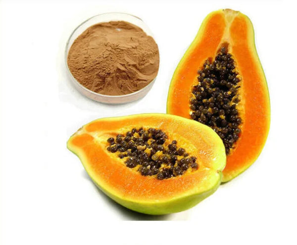 High Quality Chinese Herbal Extract Papaya Powder/Chaenomeles Extract Powder